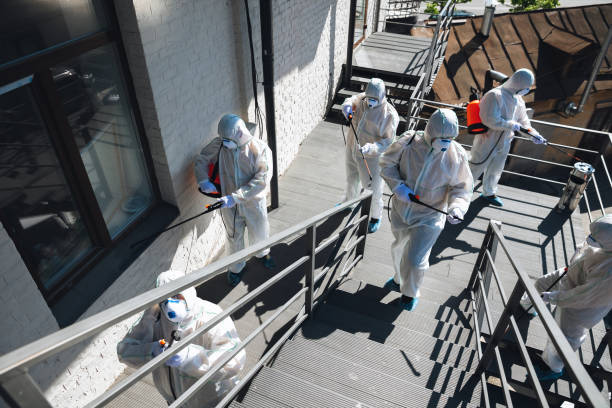 Best Water Damage & Mold Remediation  in Carrollwood, FL