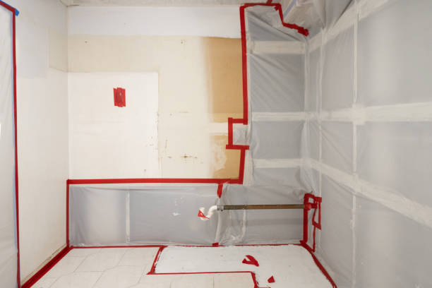 Best Post-Remediation Verification Testing  in Carrollwood, FL