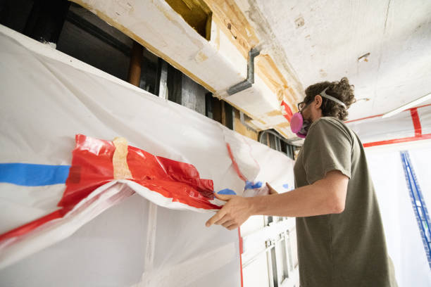 Best Black Mold Removal  in Carrollwood, FL