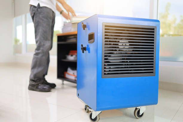 Best Dehumidification Services  in Carrollwood, FL