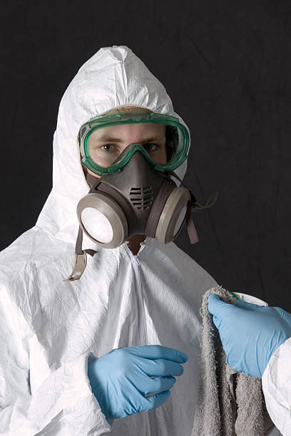 Best Mold Prevention Services  in Carrollwood, FL